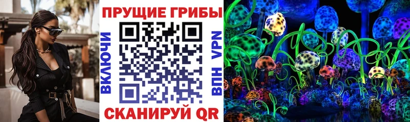 гидра ТОР  Лесной  Псилоцибиновые грибы ЛСД 