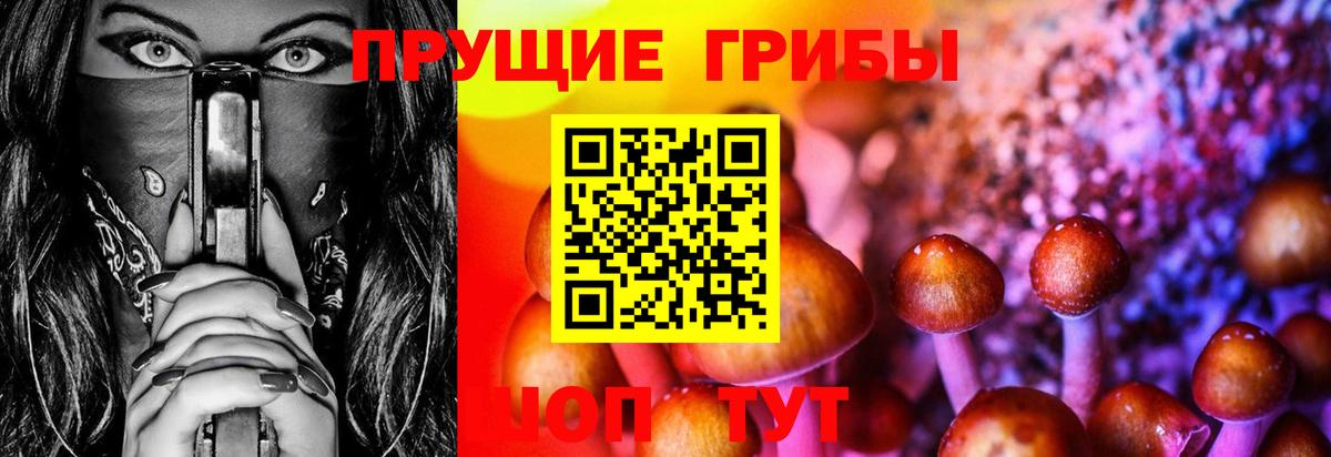 Псилоцибиновые грибы прущие грибы  Вход с VPN  Лесной 